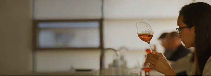 Campeonato Nacional de Sumillería de Cerveza Mega - Inscripción Abierta