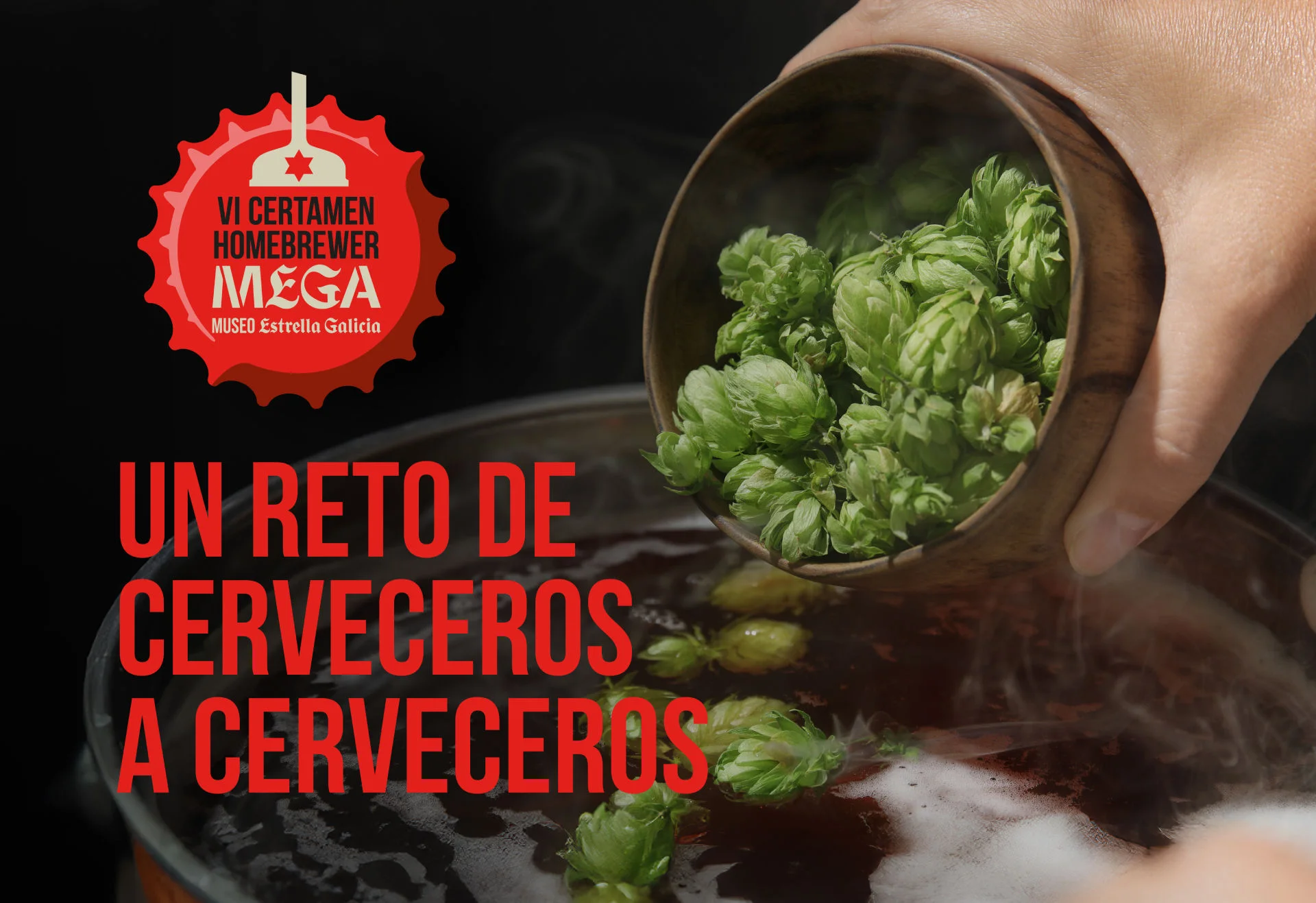 VI Certamen Homebrewer MEGA
