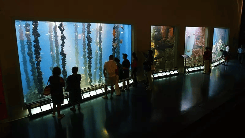 aquarium finisterrae a coruña con niños